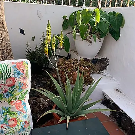 別荘 Con Piscina Privada Lujo *